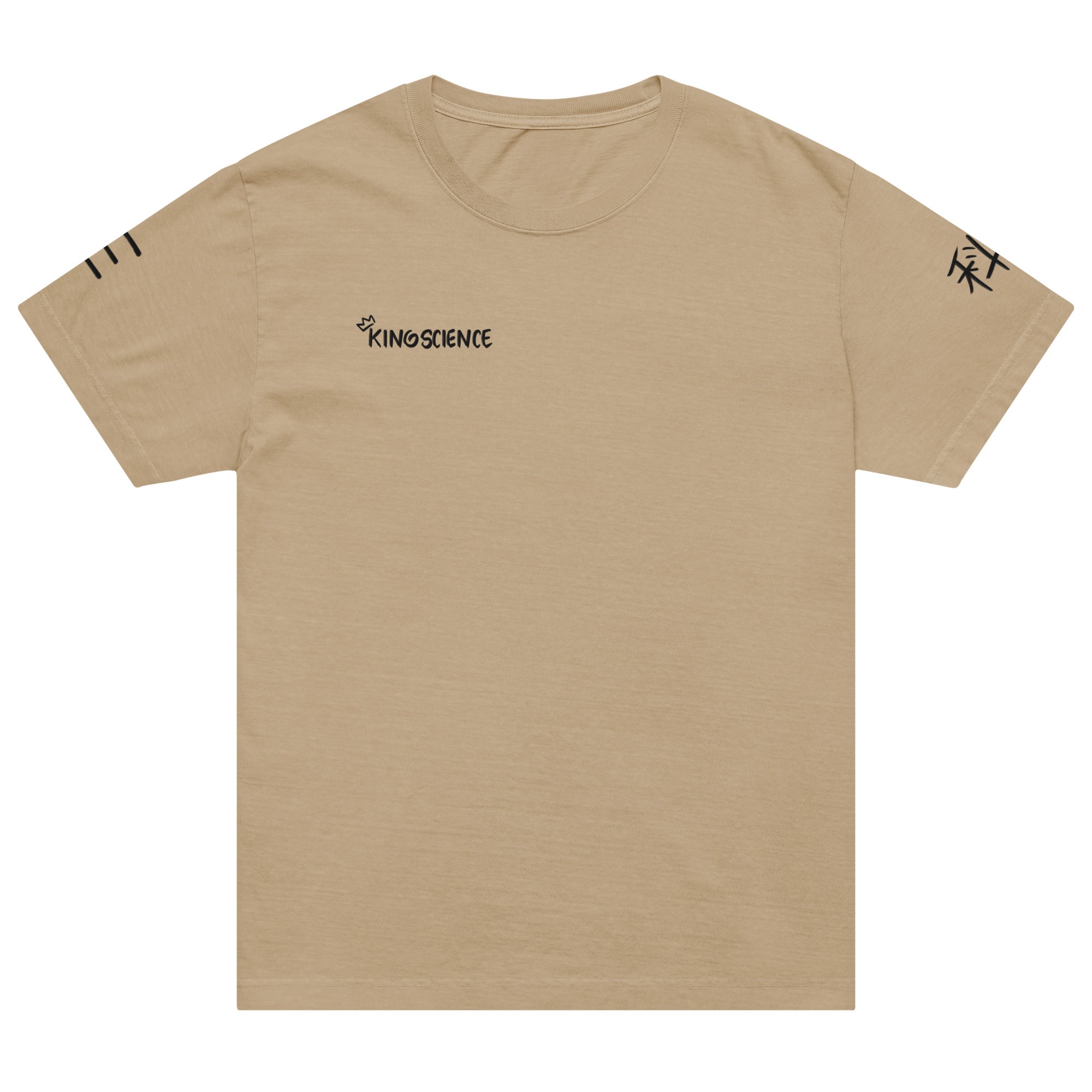 King Science Unisex oversized t-shirt – kingscience